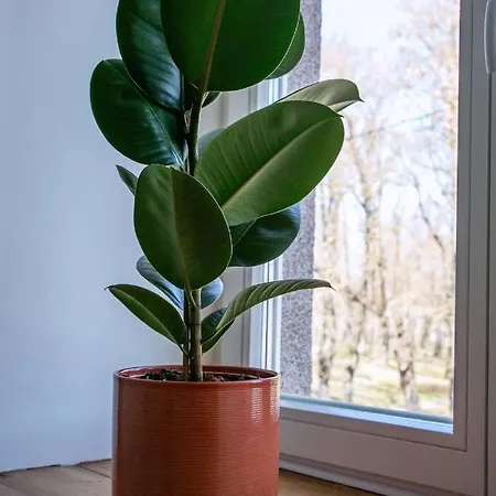 Kalamaja Park Appartamento Reval